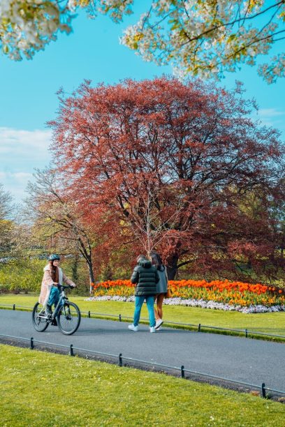 free-photo-of-woman-cycling-and-couple-walking-at-park-in-spring